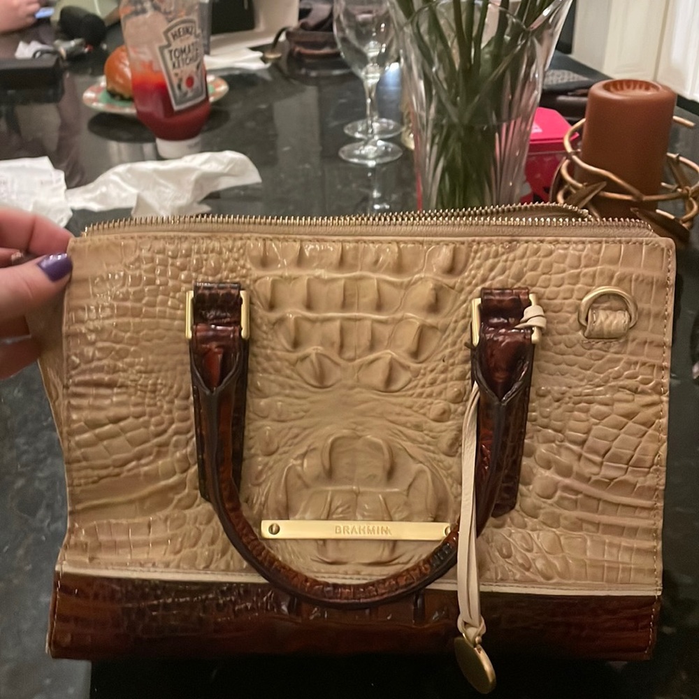 Brahmin handle purse